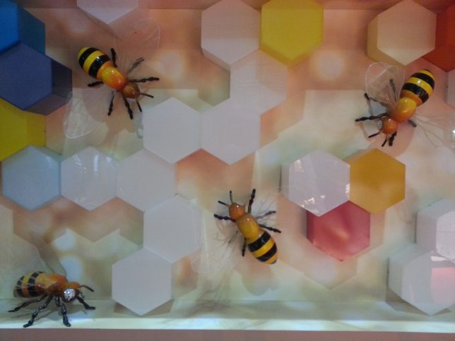 fuar-standı-dekoru-arilar