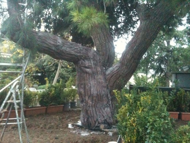 yapay-cam-adaci-film-icin